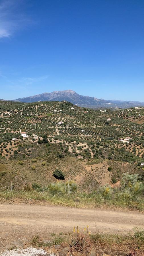 Bed and Breakfast Casa La Quinta Riogordo Екстер'єр фото