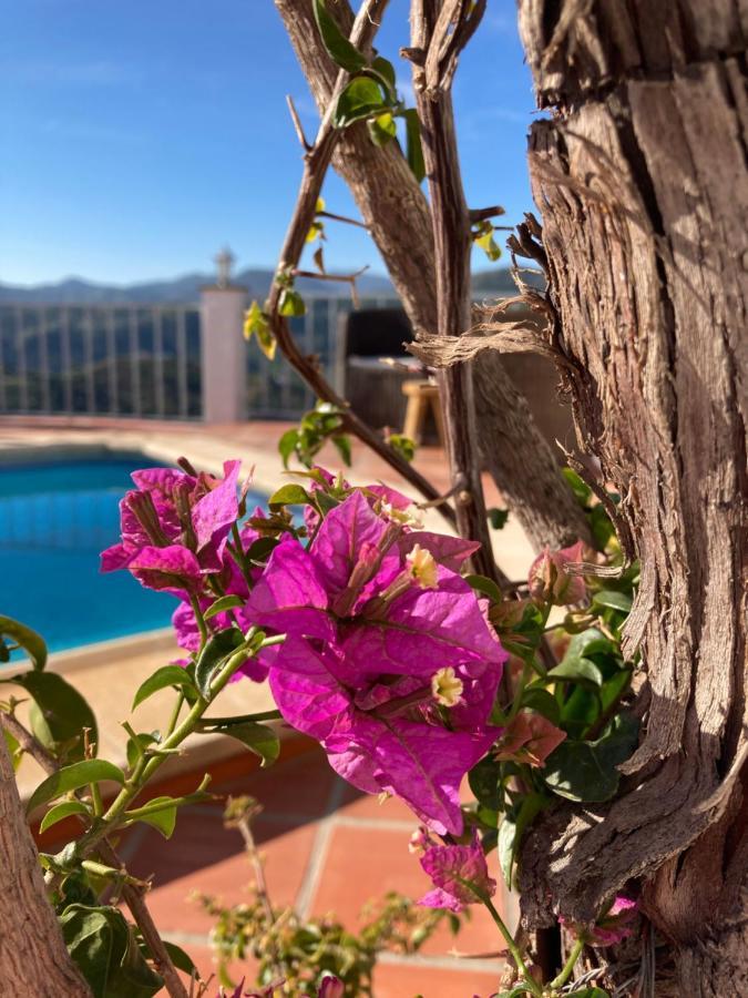 Bed and Breakfast Casa La Quinta Riogordo Екстер'єр фото